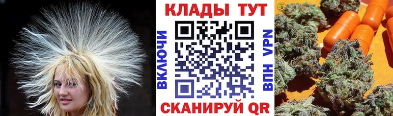 Галлюциногенные грибы Шумиха
