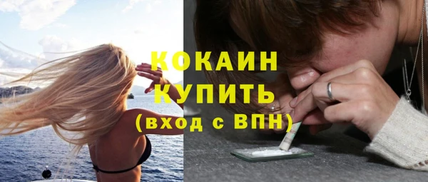 ALPHA PVP Богородицк
