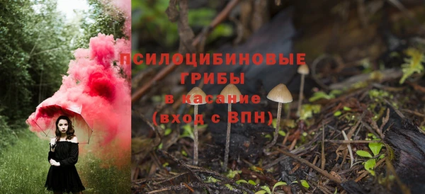 кокаин Богданович