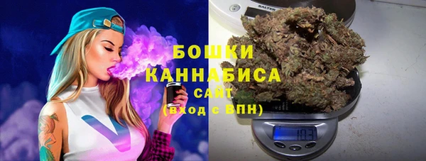 ALPHA PVP Богородицк