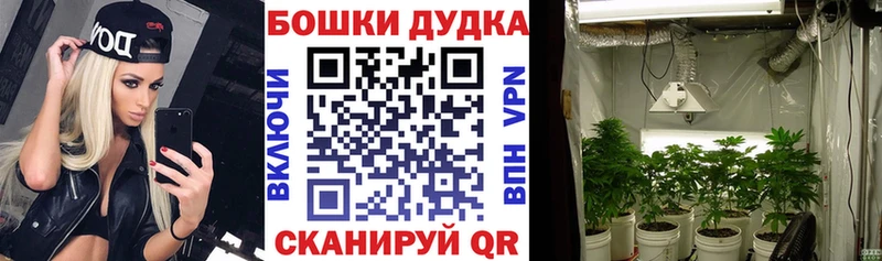 Марихуана план  Шумиха 